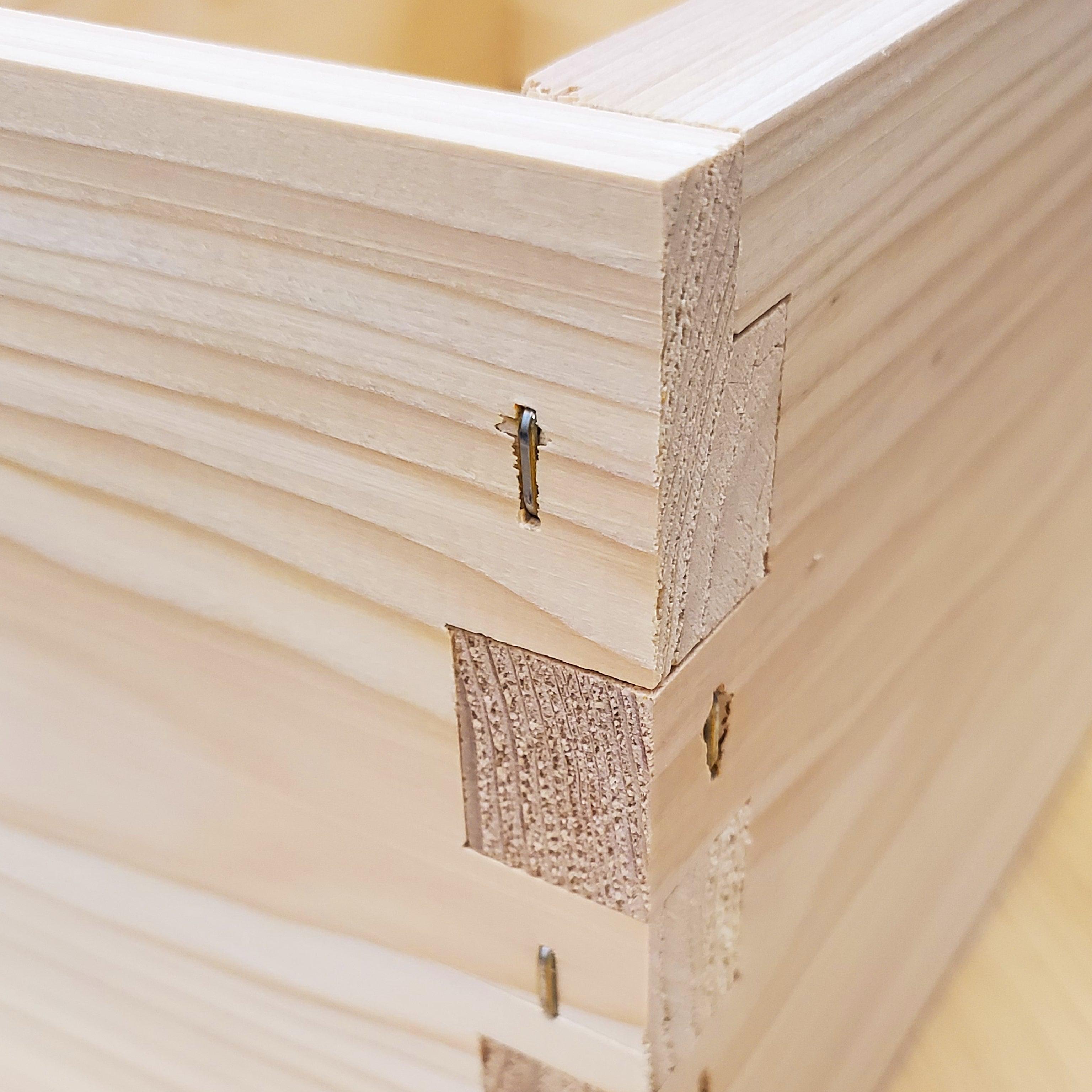 10-Frame All-Medium Box Hive Kit