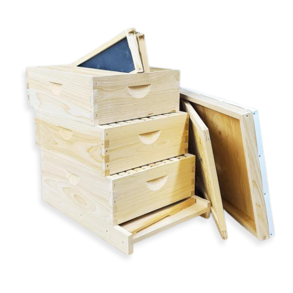 10-Frame All-Medium Box Hive Kit