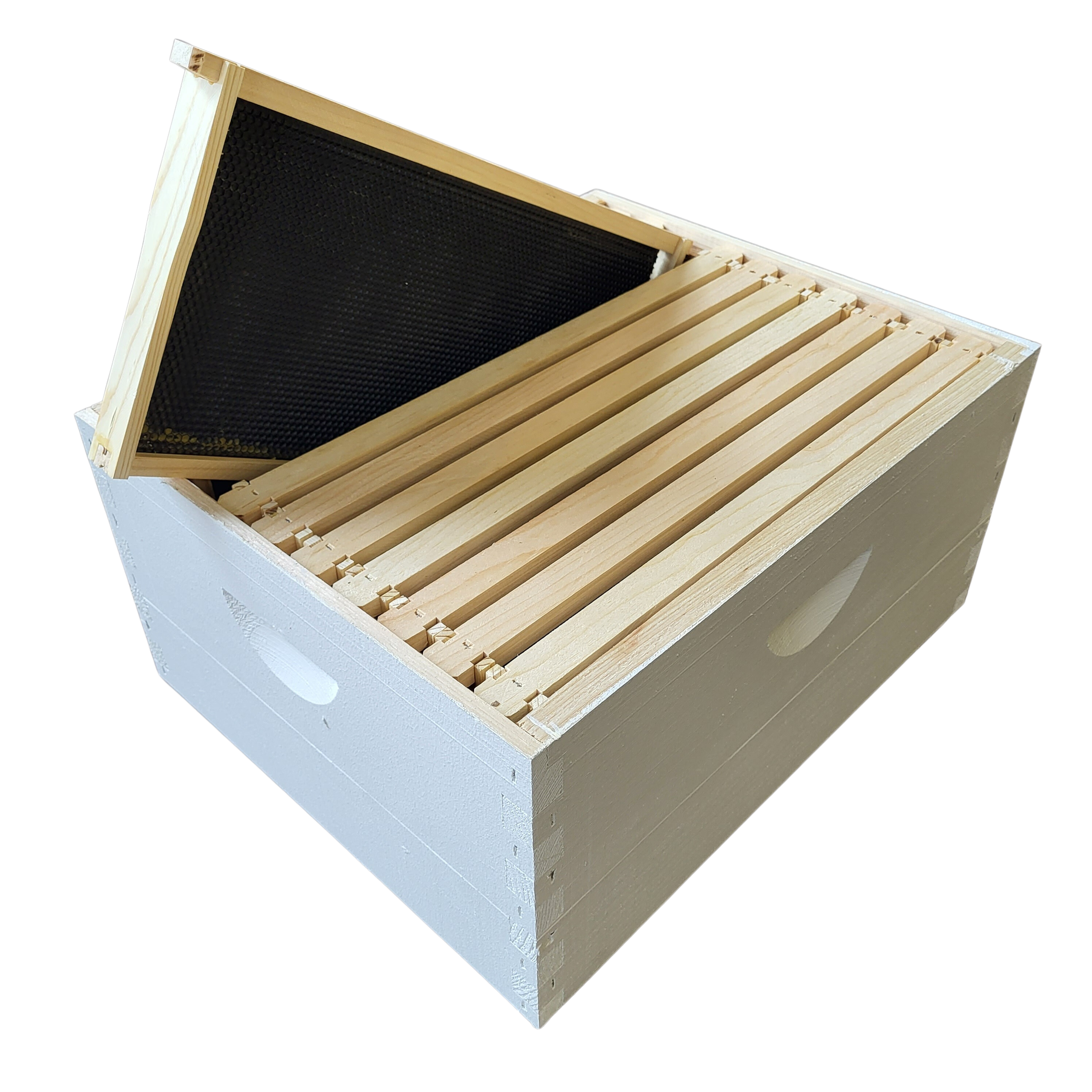 10-Frame Completed, Deep 9 5/8-inch Box with Frames and Foundation