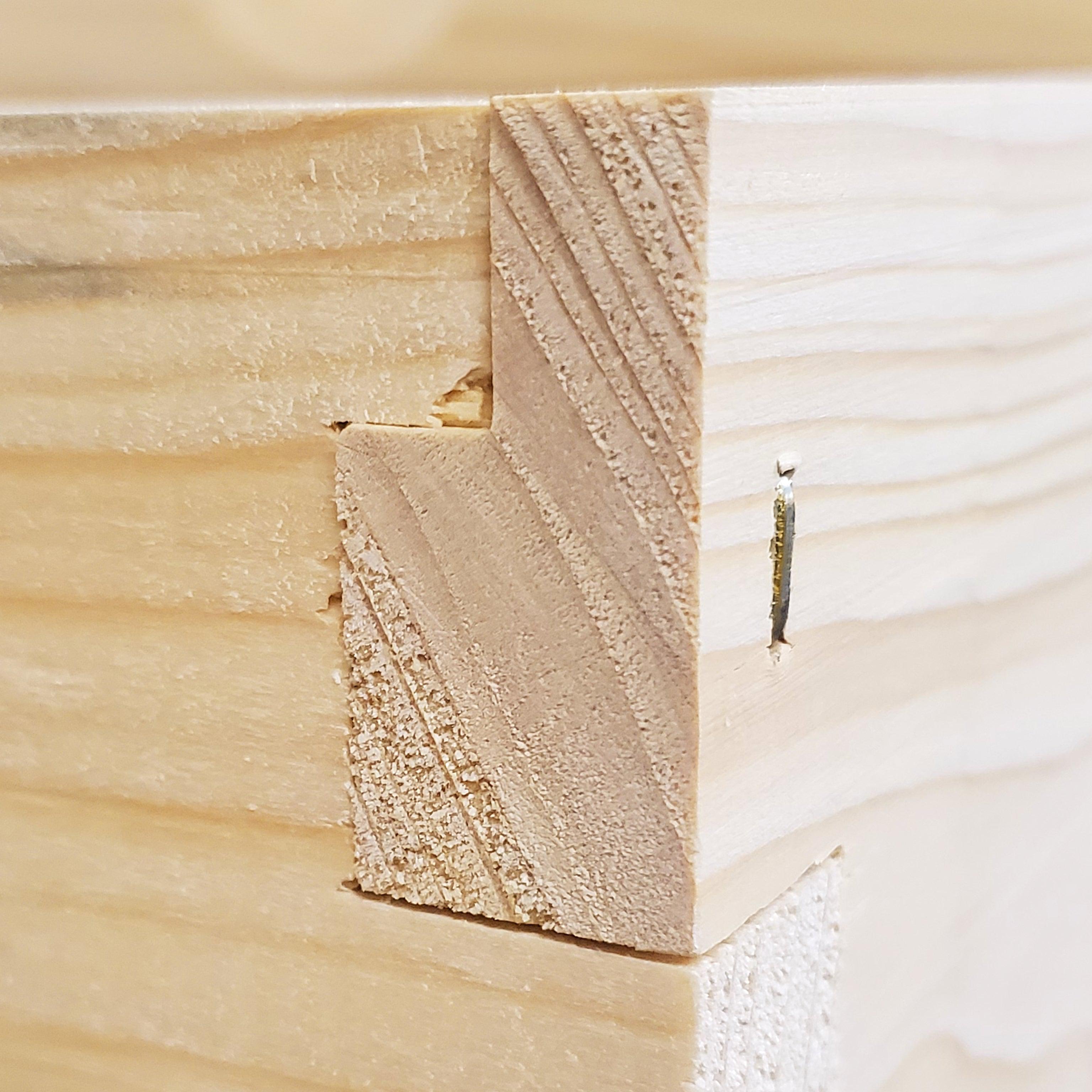 5-Frame Complete, Medium 6 5/8-inch Box with Frames and Foundation