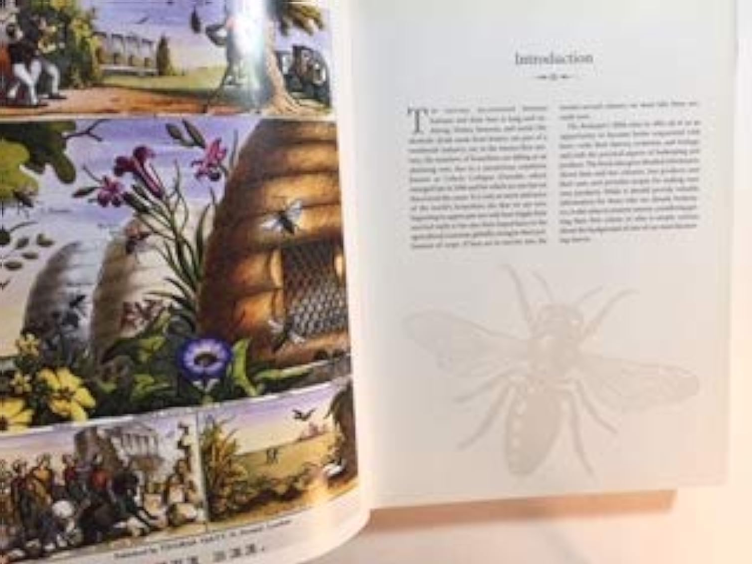 The Beekeeper'S Bible: Bees, Honey, Recipes & Other Home Uses