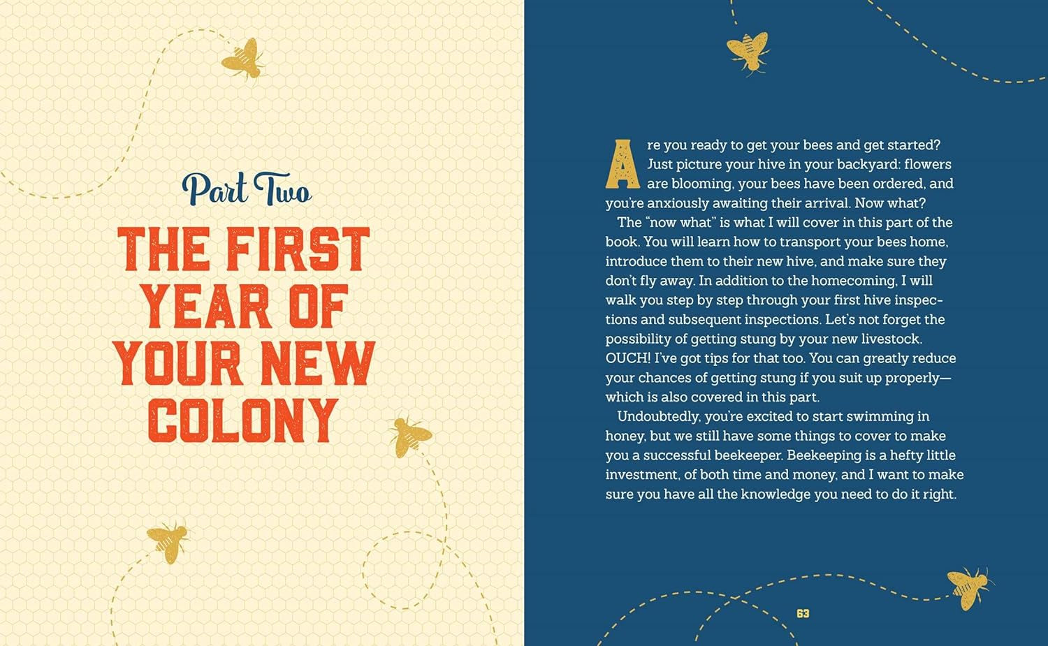 Beekeeping for Beginners: How to Raise Your First Bee Colonies