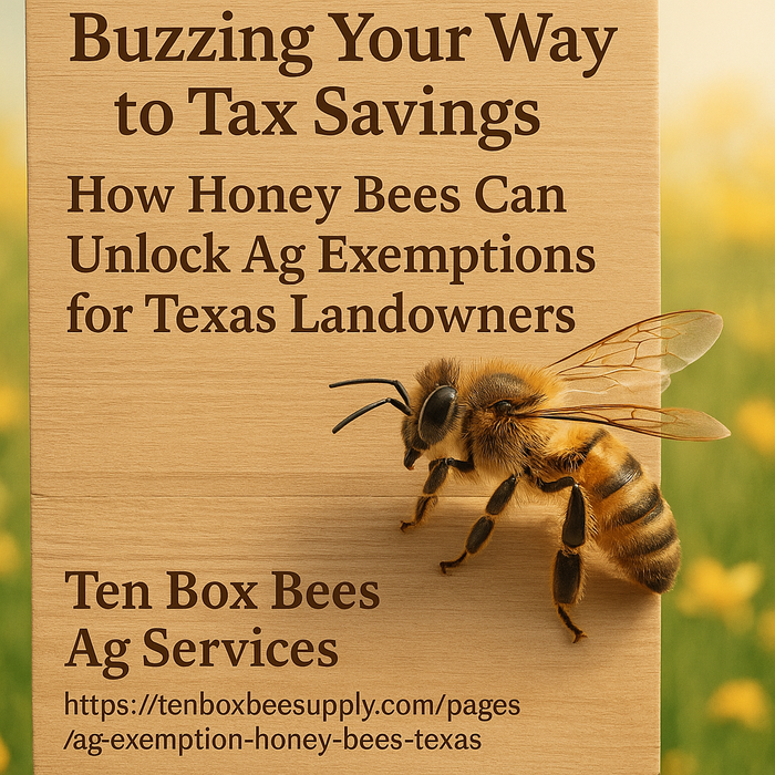 Buzzing Your Way to Tax Savings: How Honey Bees Can Unlock Ag Exemptions for Texas Landowners