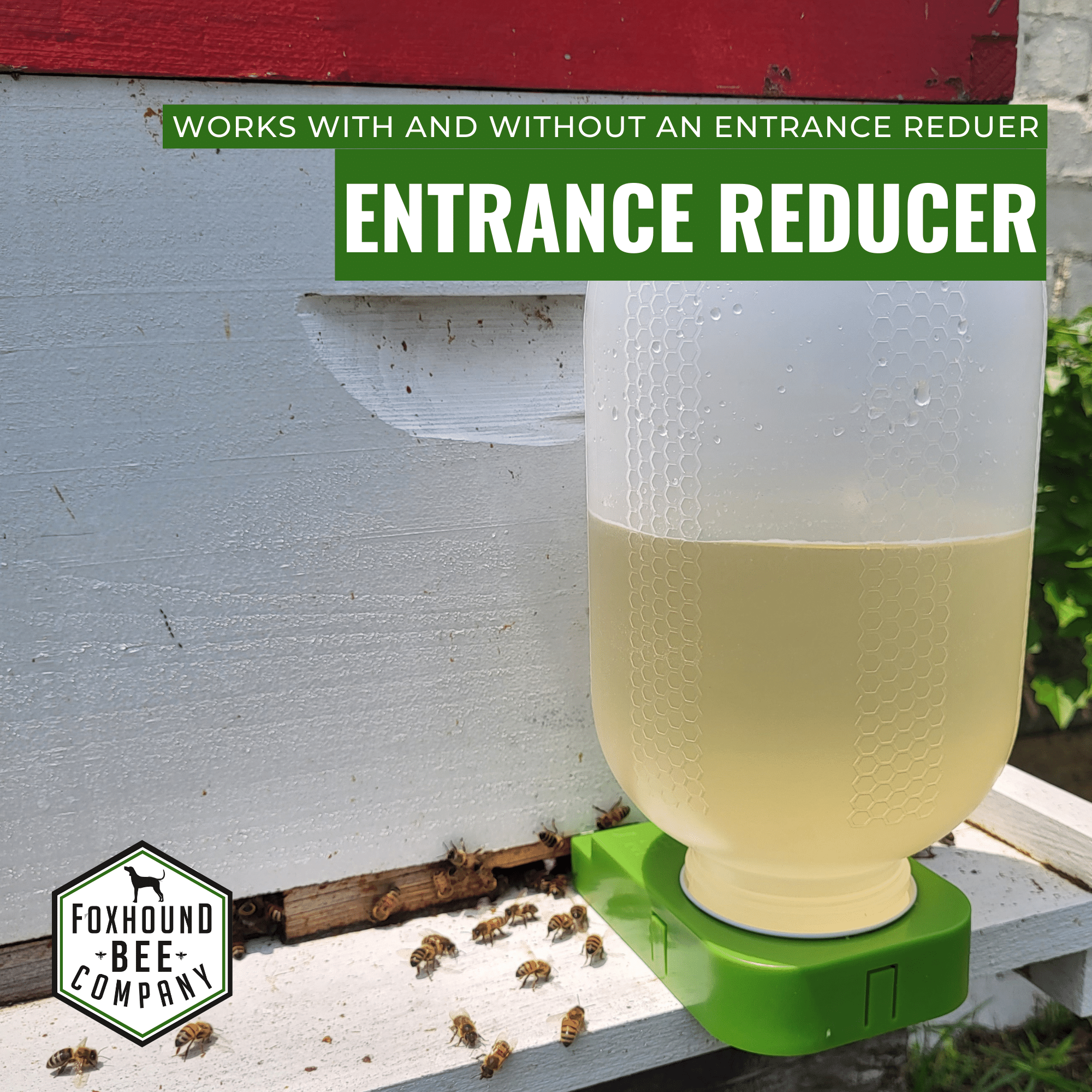 1/2 Gallon Jar and Foxhound Entrance Feeder with UV Inhibitor