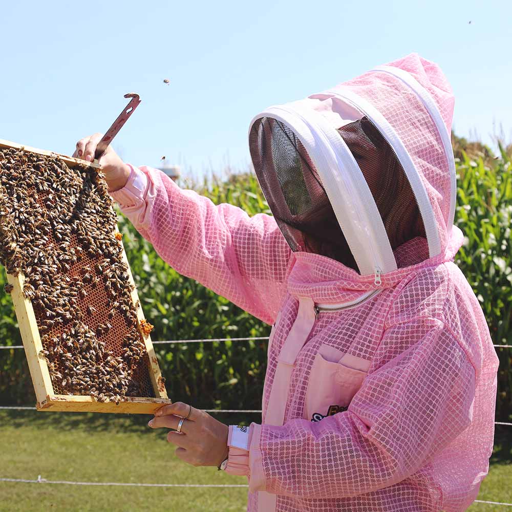 Bee Steward Pink Vented Suit