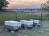Wooden beehives lined up on a rural property, qualifying for agricultural exemption, against a backdrop of a stunning sunset with vibrant orange and pink hues in the sky