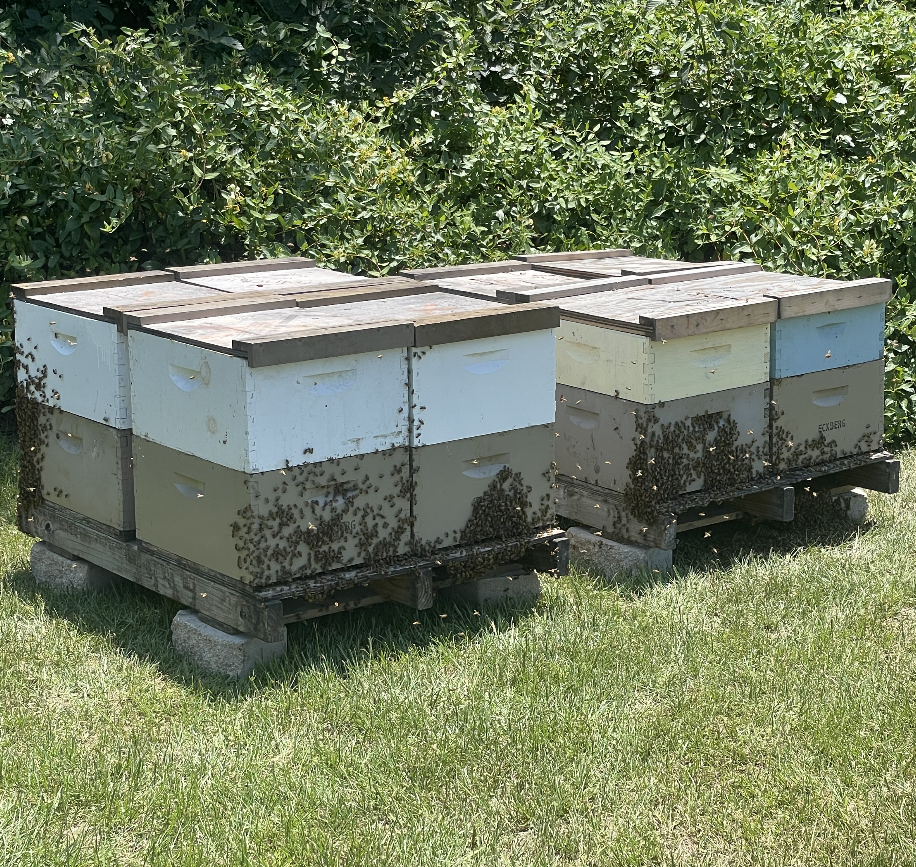 Honey Bee Leasing Service - Ag Exemption