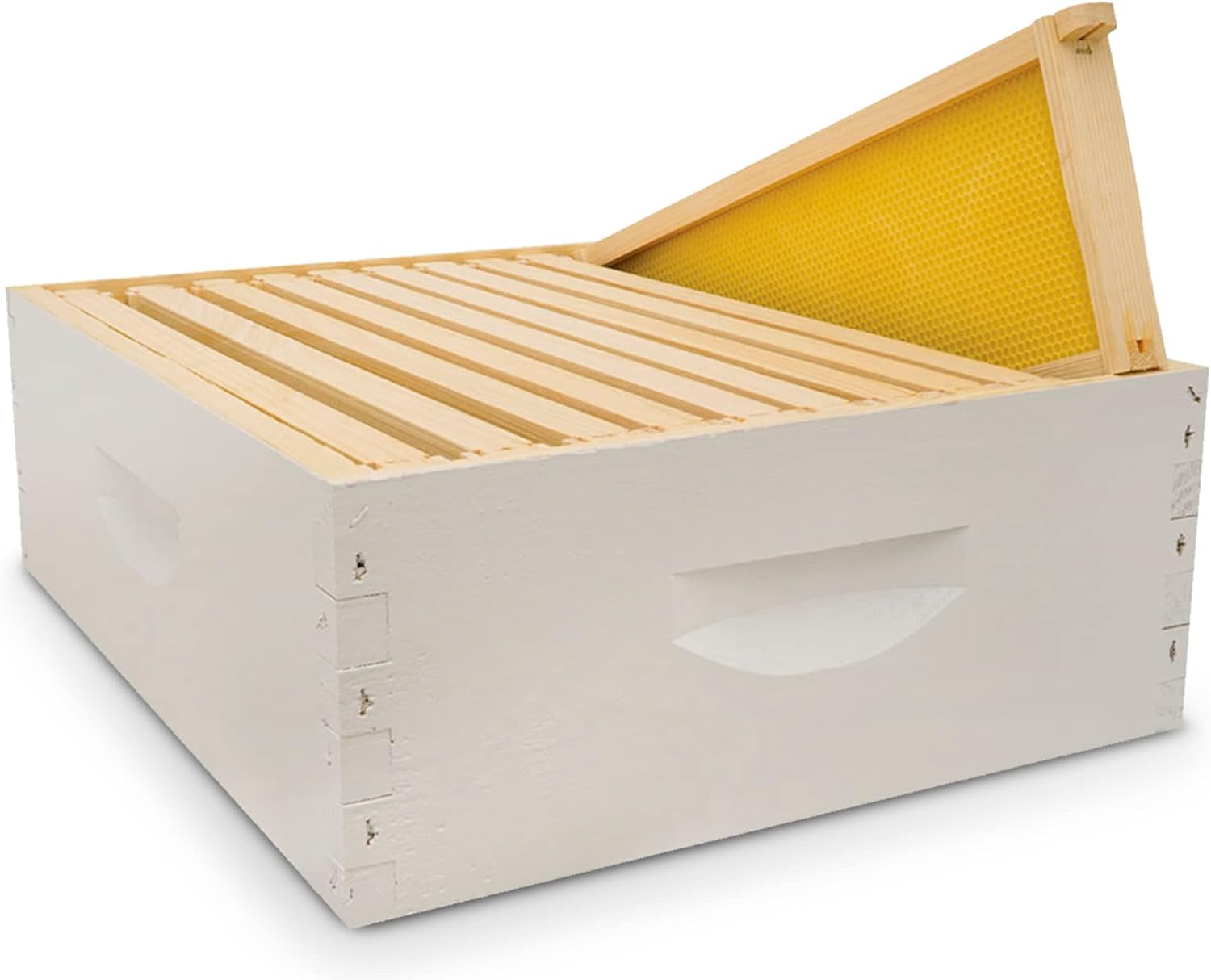 Hive Body Bundle, Assembled, 10-Frame, Painted, Beekeeping, Bee Box, Beekeeping Supplies, Harvest Honey, Includes 10 Assembled Frames W/Plastic Coated Foundation