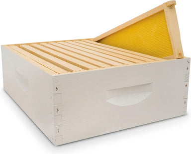 Hive Body Bundle, Assembled, 10-Frame, Painted, Beekeeping, Bee Box, Beekeeping Supplies, Harvest Honey, Includes 10 Assembled Frames W/Plastic Coated Foundation