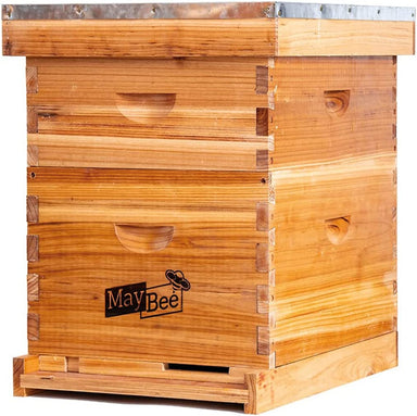 Bee Hive 10 Frame Bee Hives and Supplies Starter Kit, Bee Hive for Beginner, Honey Bee Hives Includes 1 Deep Bee Boxes, 1 Bee Hive Super with Beehive Frames and Foundation