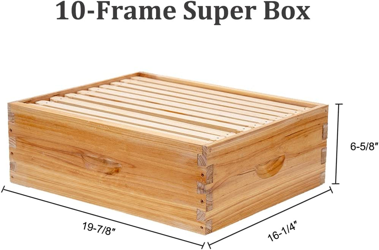 10 Frame Langstroth Bee Hive Coated with 100% Beeswax Includes Beehive Frames and Waxed Foundations (2 Deep Boxes & 1 Medium Box)