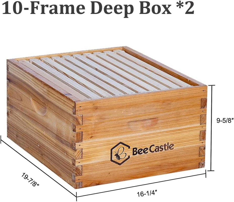 10 Frame Langstroth Bee Hive Coated with 100% Beeswax Includes Beehive Frames and Waxed Foundations (2 Deep Boxes & 1 Medium Box)