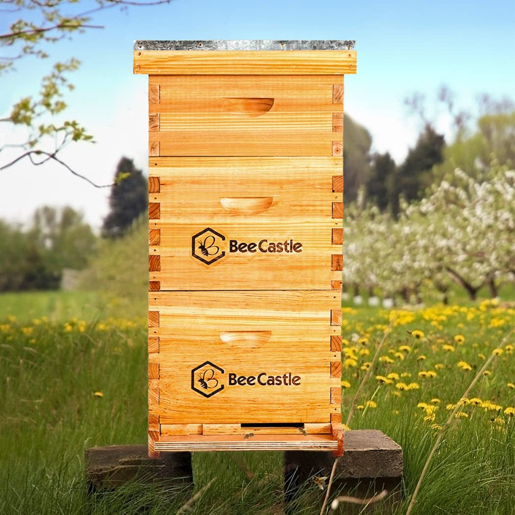 10 Frame Langstroth Bee Hive Coated with 100% Beeswax Includes Beehive Frames and Waxed Foundations (2 Deep Boxes & 1 Medium Box)