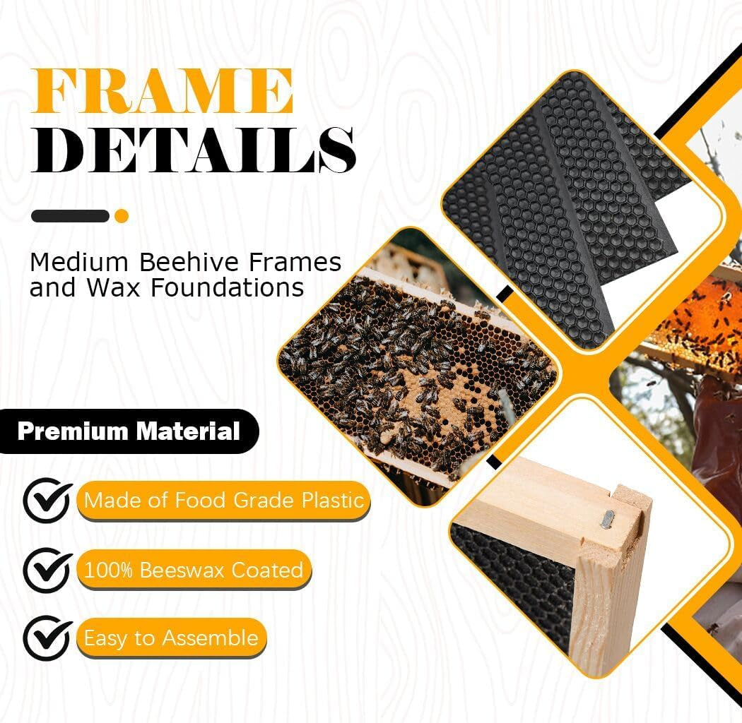 Medium Beehive Frames and Wax Foundations,10 Pack Honey Bee Frames with Wooden Bee Hive Frames and 100% Beeswax Coated Foundations, 6-1/4-Inch (Black)