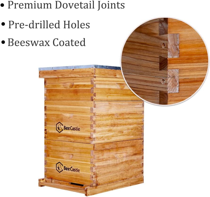 10 Frame Langstroth Bee Hive Coated with 100% Beeswax Includes Beehive Frames and Waxed Foundations (2 Deep Boxes & 1 Medium Box)