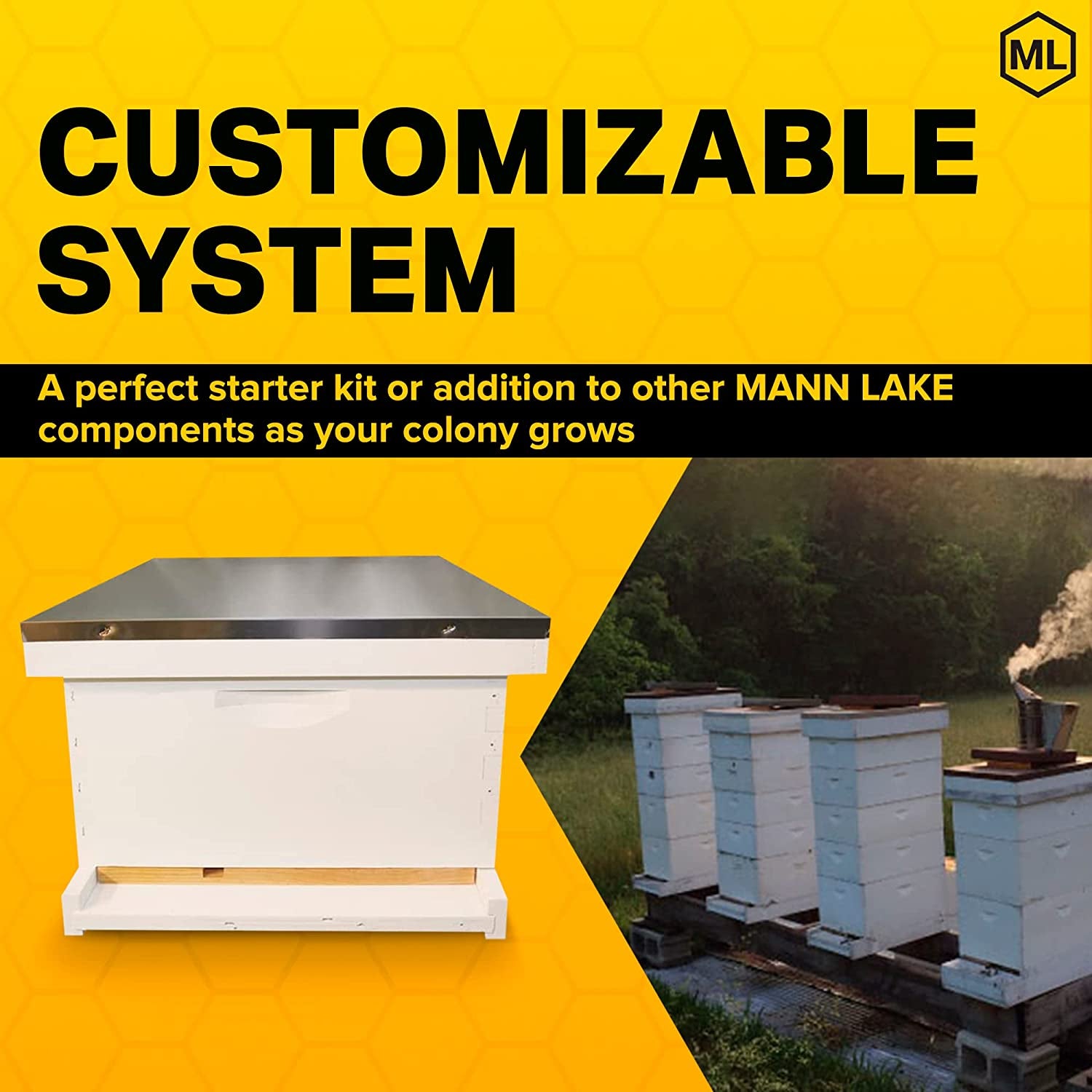 Complete Bee Hive Kit, Fully Assembled Beginner-Friendly Bee Hive Starter Set with Hive Body & 10 Frames