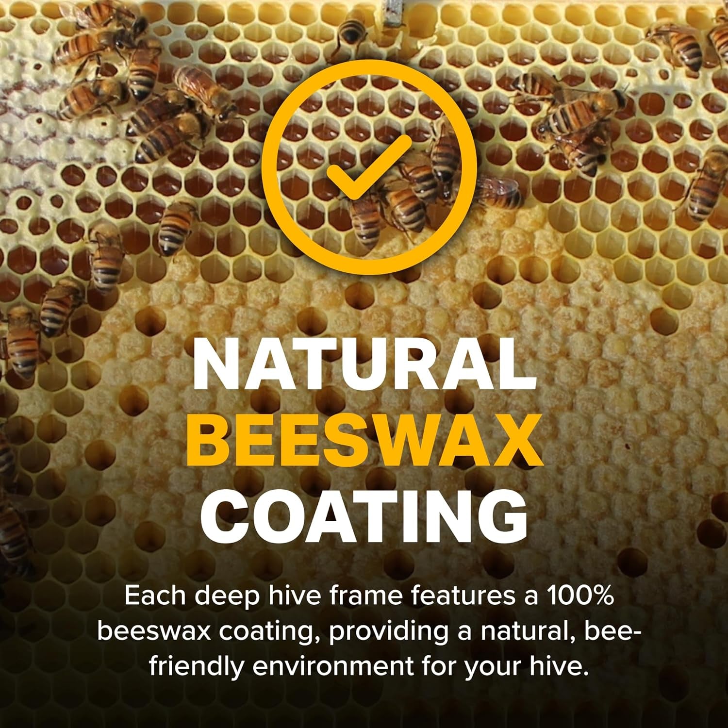 Premium Beekeeping Frames, All-In-One Frame & Foundation, Natural Beeswax Coating, Universal Fit, BPA & BPS Free, 9 1/8 Inches, Black, 10-Pack