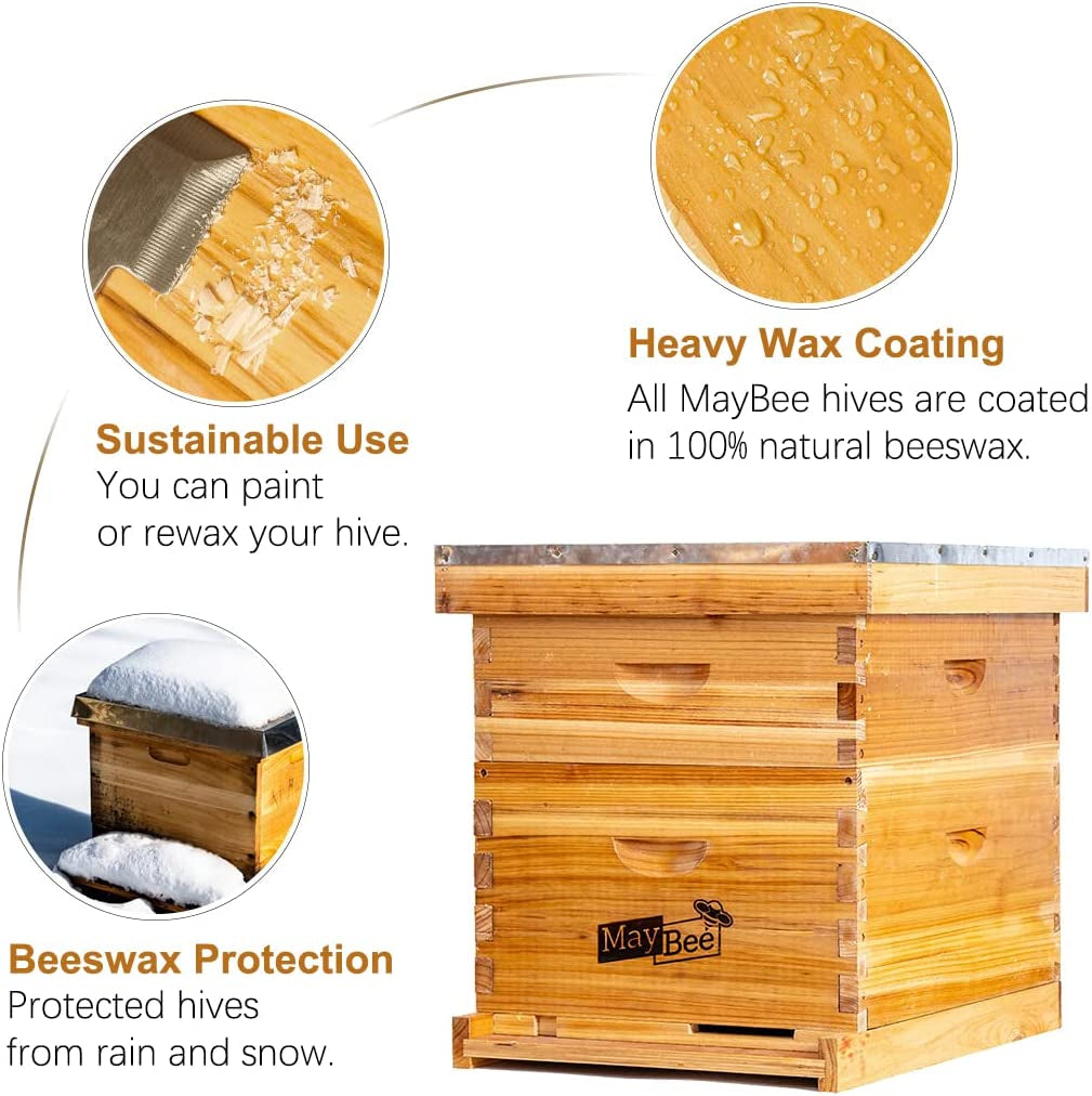 Bee Hive 10 Frame Bee Hives and Supplies Starter Kit, Bee Hive for Beginner, Honey Bee Hives Includes 1 Deep Bee Boxes, 1 Bee Hive Super with Beehive Frames and Foundation